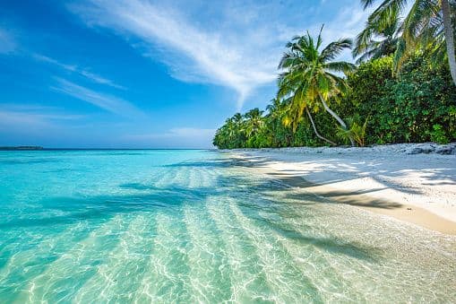 TOP 5 LUXURY BEACHES IN THE WORLD Image
