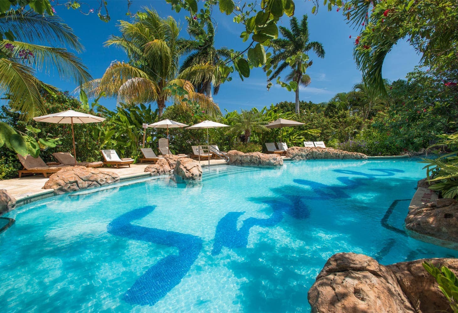 The  Caribbean