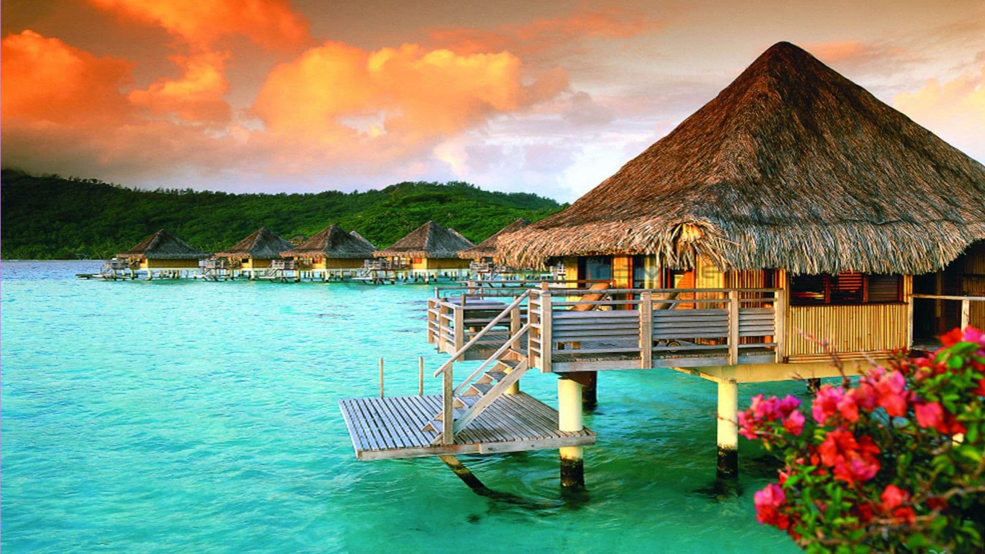 French Polynesia (Tahiti)