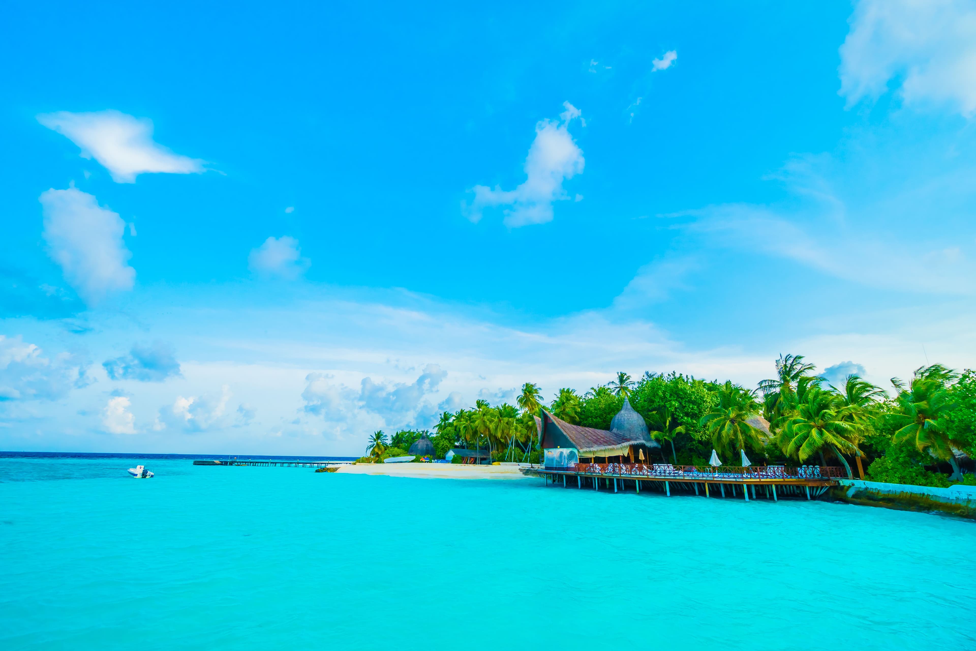 TOP FIVE THINGS TO DO IN THE MALDIVES Image